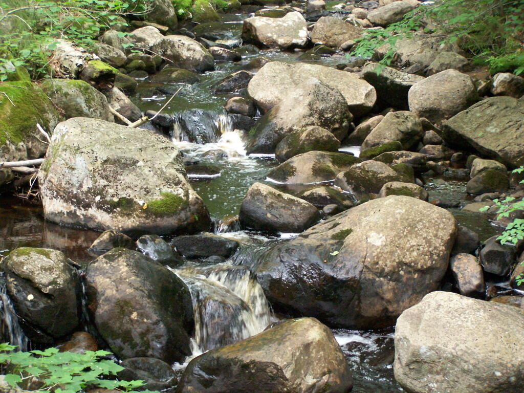 Photo: Un-named Brook Coming Off Sturges Hills