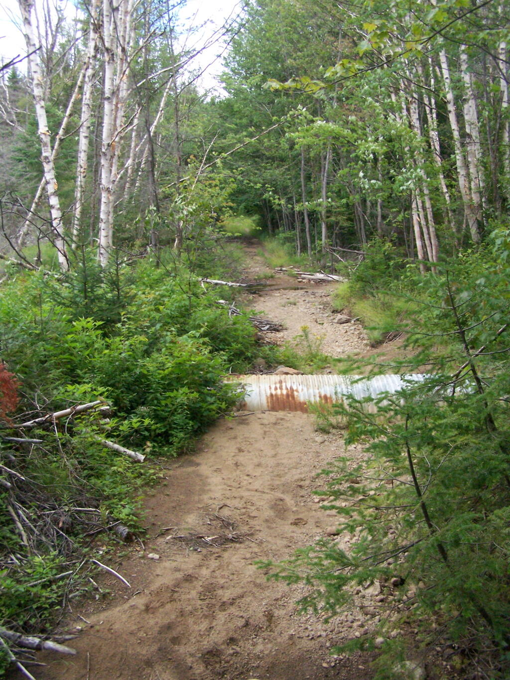Photo: Washed Out Road to Wakely Mountain