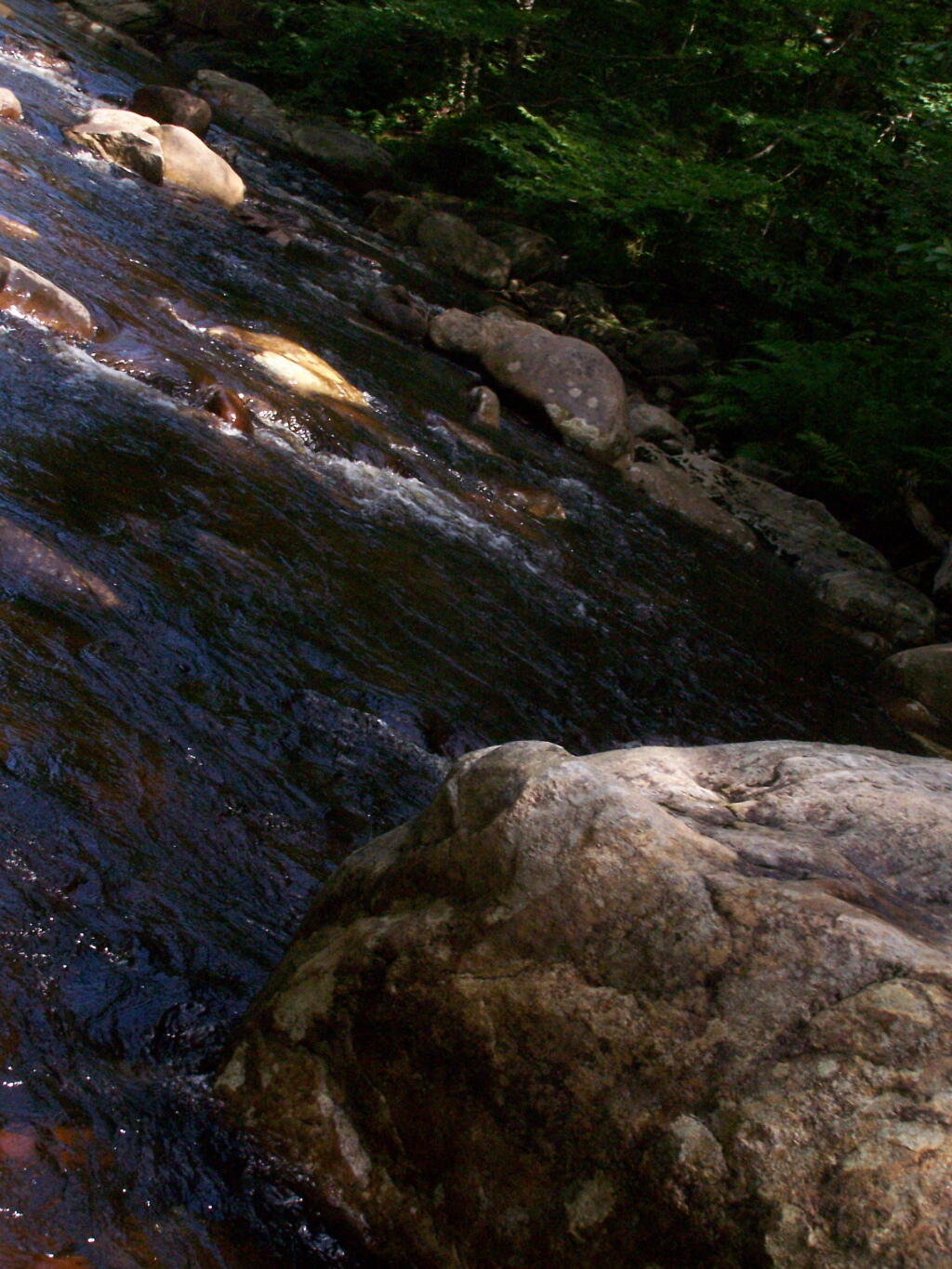 Photo: Otter Brook Looks Great for Swimming