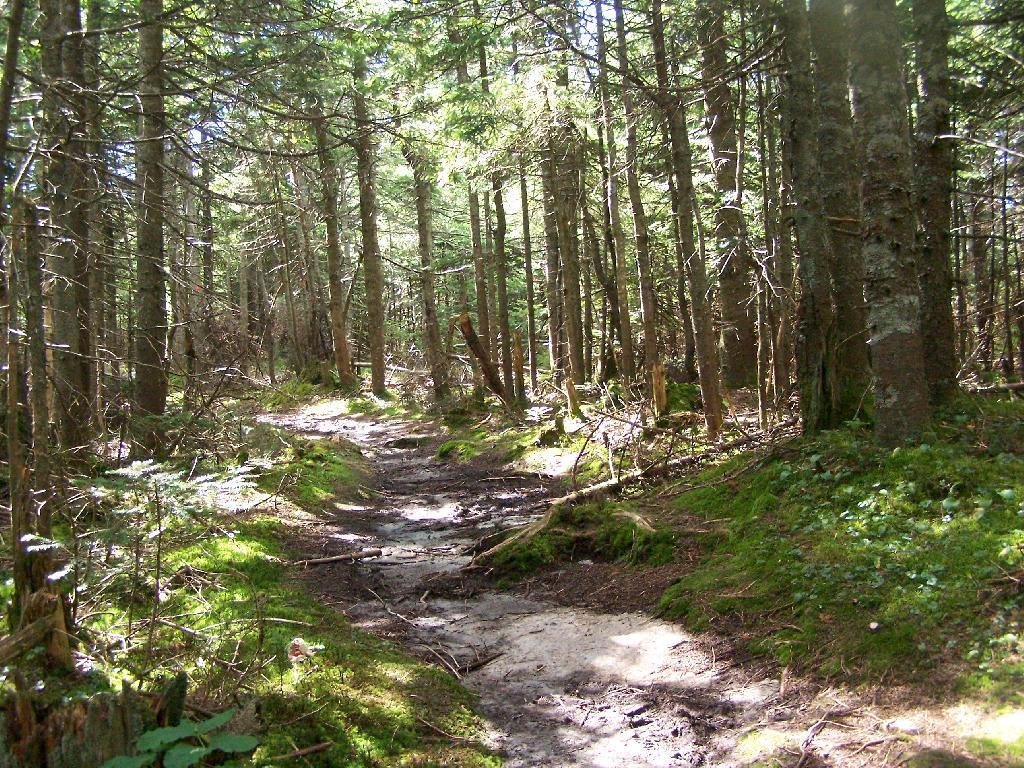Photo: Often Muddy Trail Atop Pillsbury