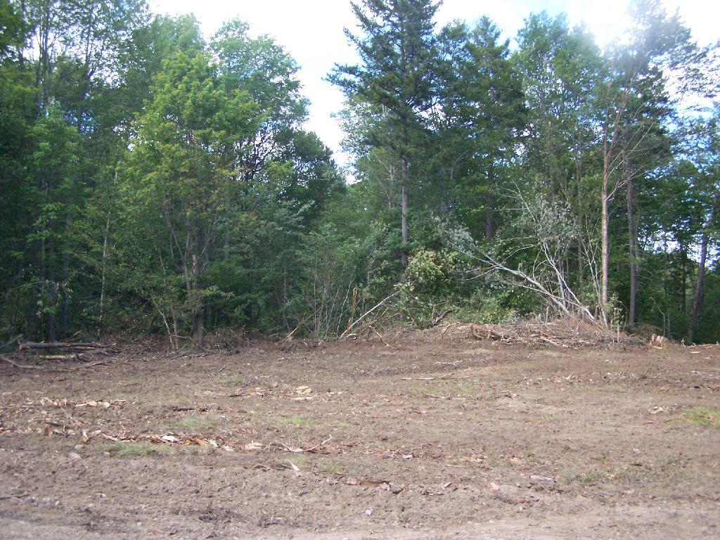 Photo: Log Loading Site
