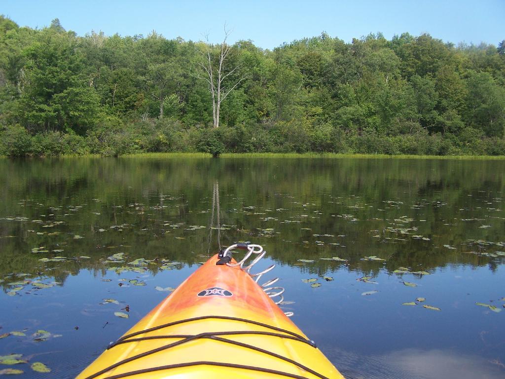 Photo: Open Water on Tubbs Pond