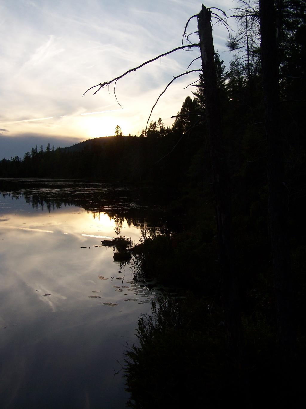 Photo: Goodnight Mr Sun