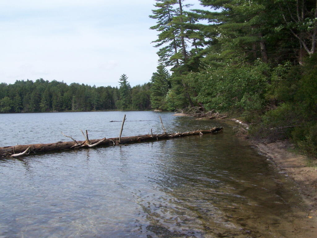 Photo: Perfect Area for Swimming