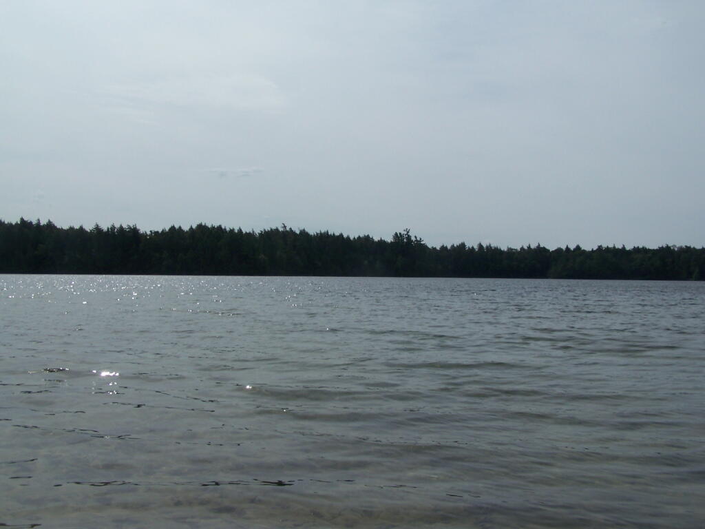 Photo: Across Poliwog Pond