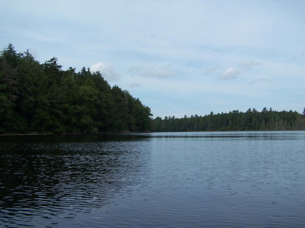 Photo: Western Bay of Poliwog Pond