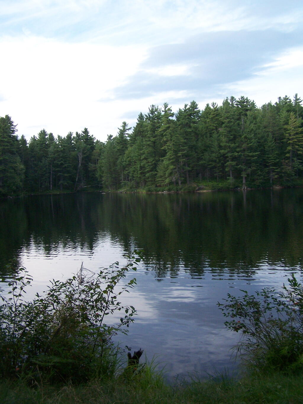 Photo: Mountain Pond in the Evening