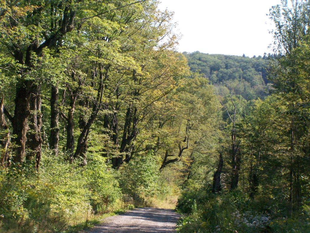 Photo: Rossman Fly Road