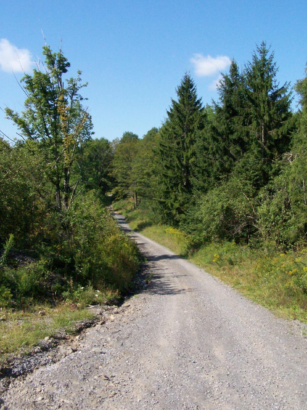 Photo: Rossman Fly Road