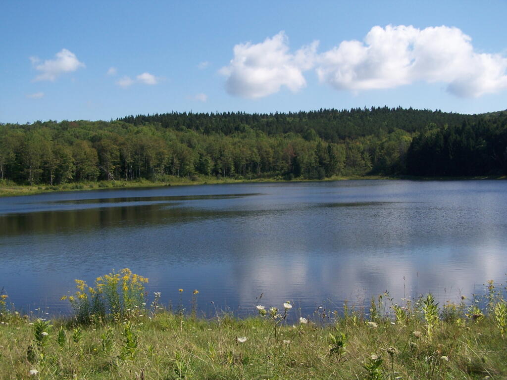 Photo: Mallet Pond
