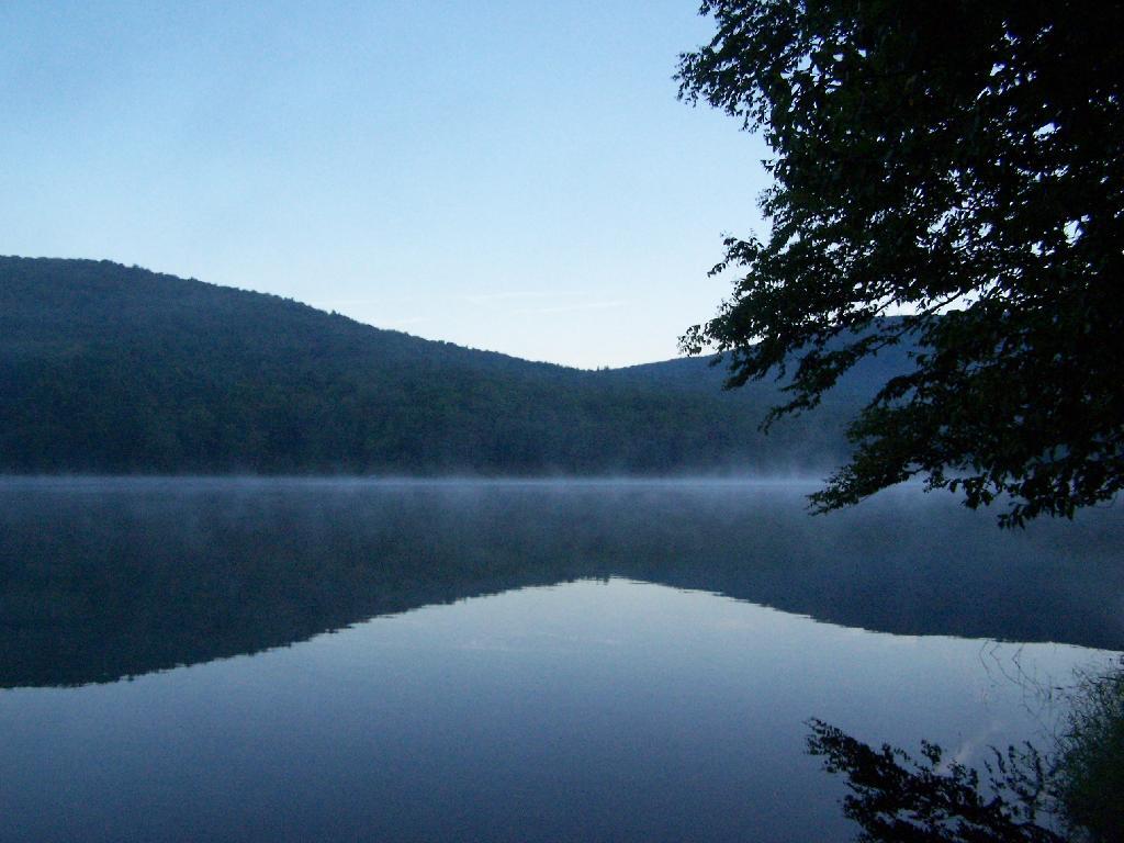Photo: Pond Prior to Sunrise