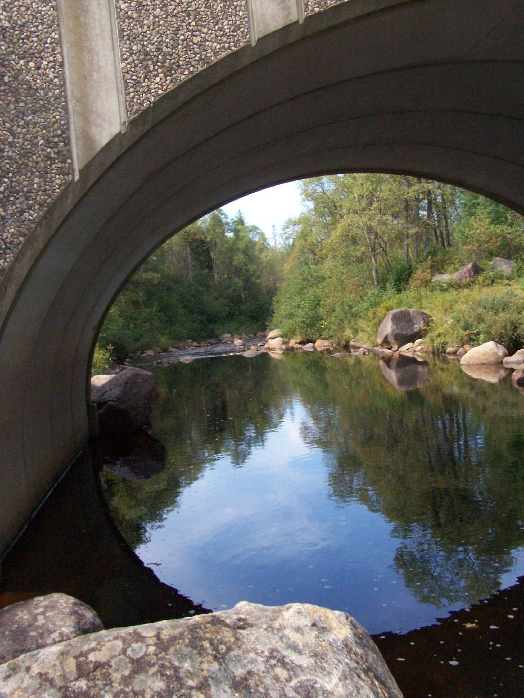 Photo: Under Moose River Bridge