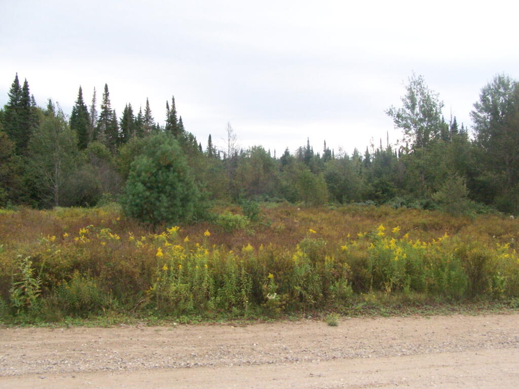 Photo: Plains of East Canada Creek