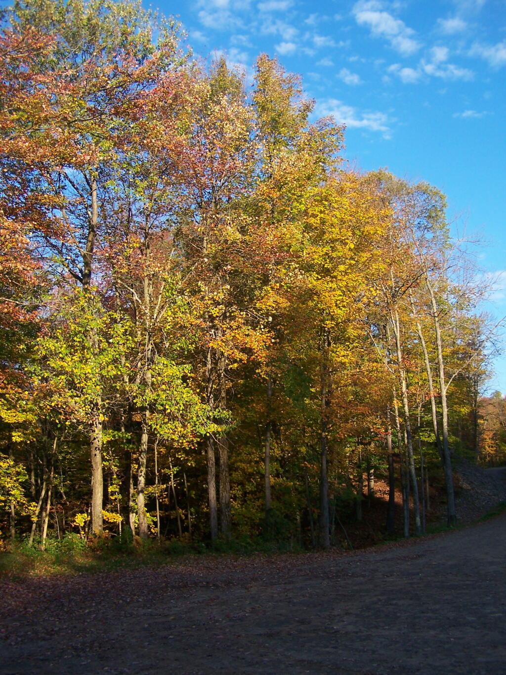 Photo: Morning Along Fishing Access Site