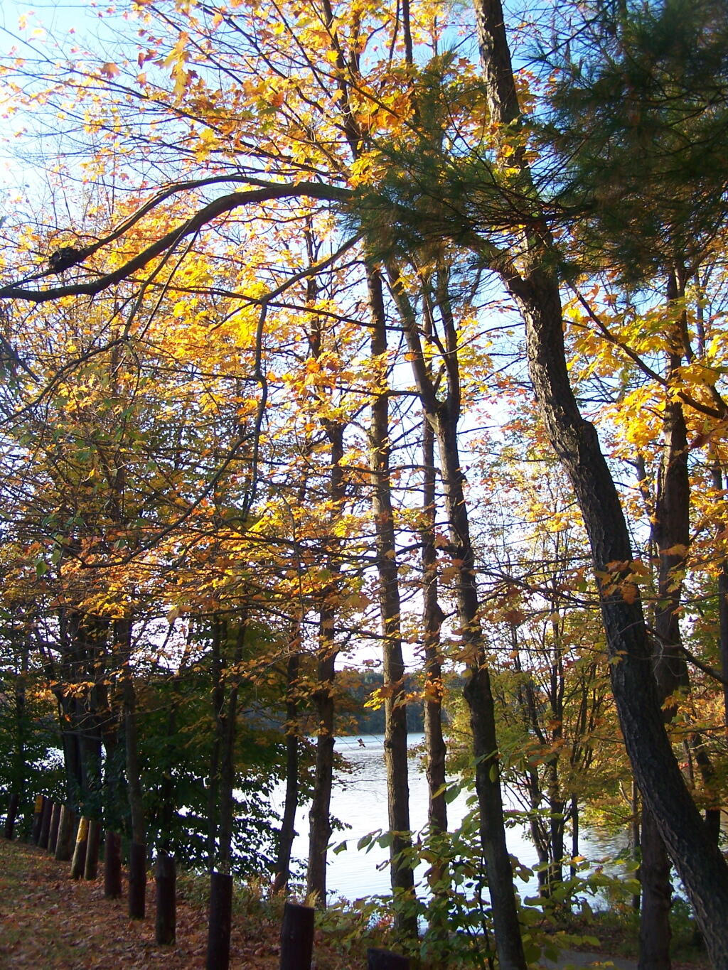Photo: Fall Colors