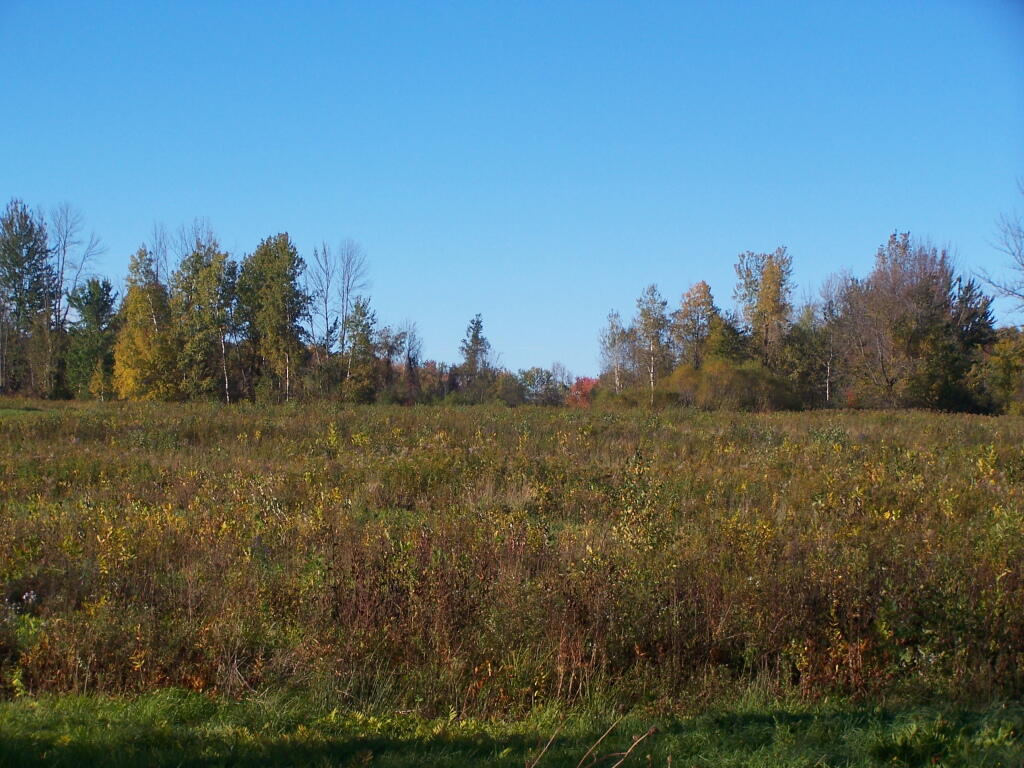 Photo: Fields