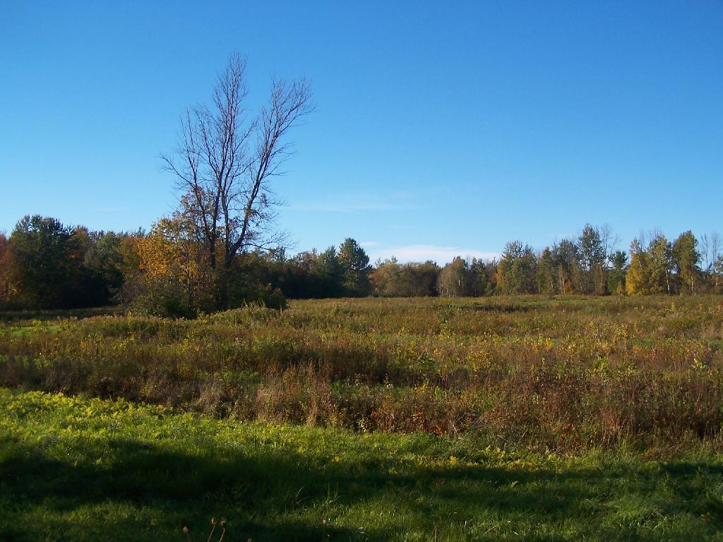 Photo: Mid-Fall Colors