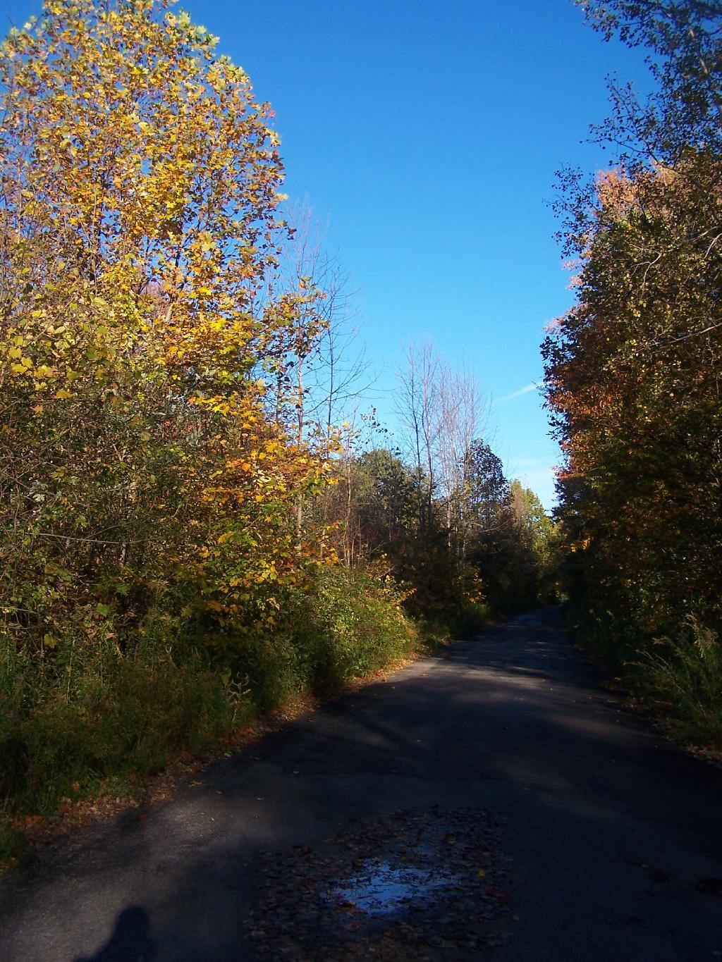 Photo: North Entry Road