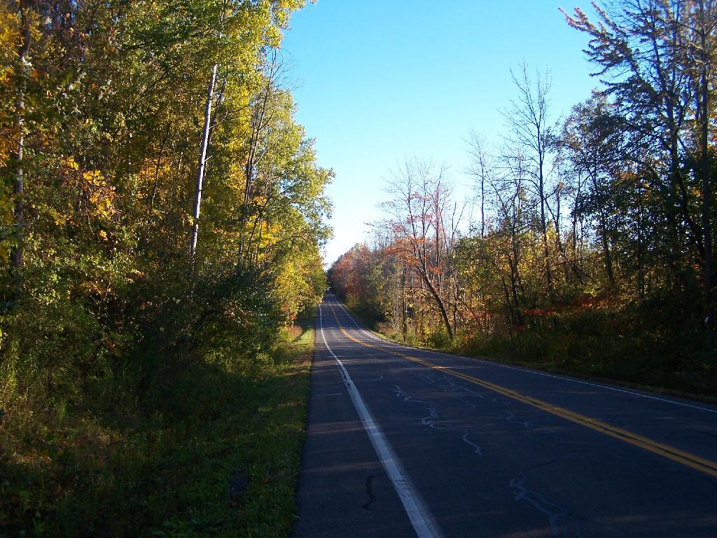 Photo: 60th Road
