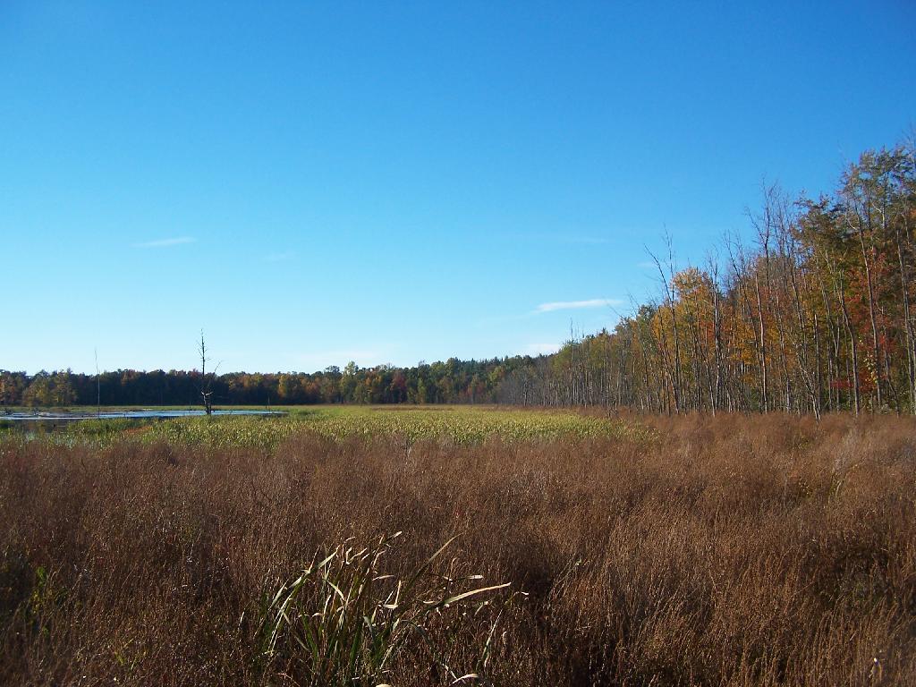 Photo: Hundred Acre Marsh