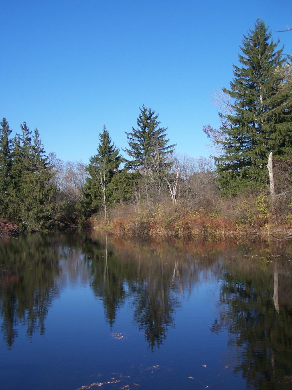 Photo: Pond