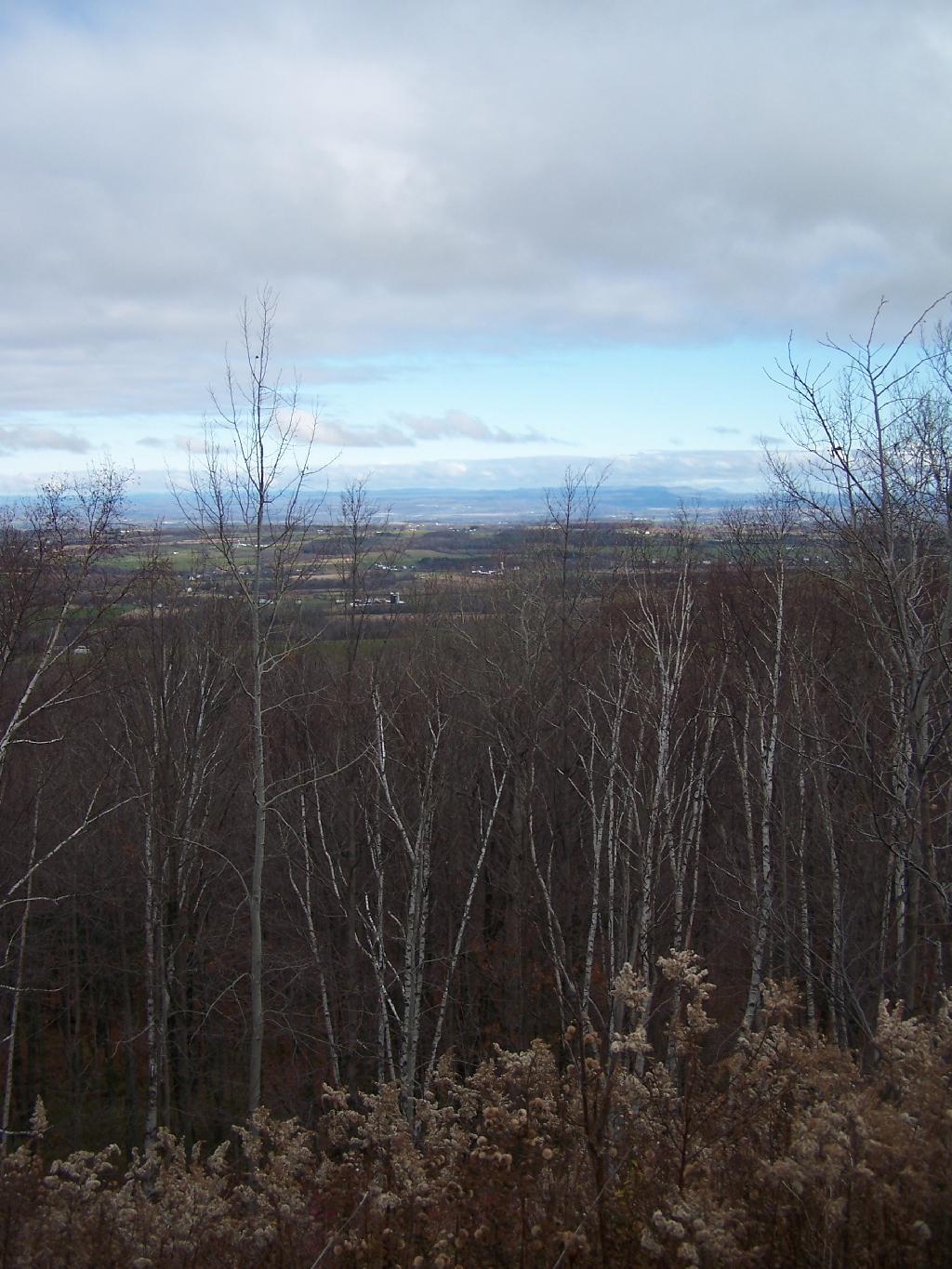 Photo: Mohawk Valley and Beyond Photo: Mohawk Valley and Beyond