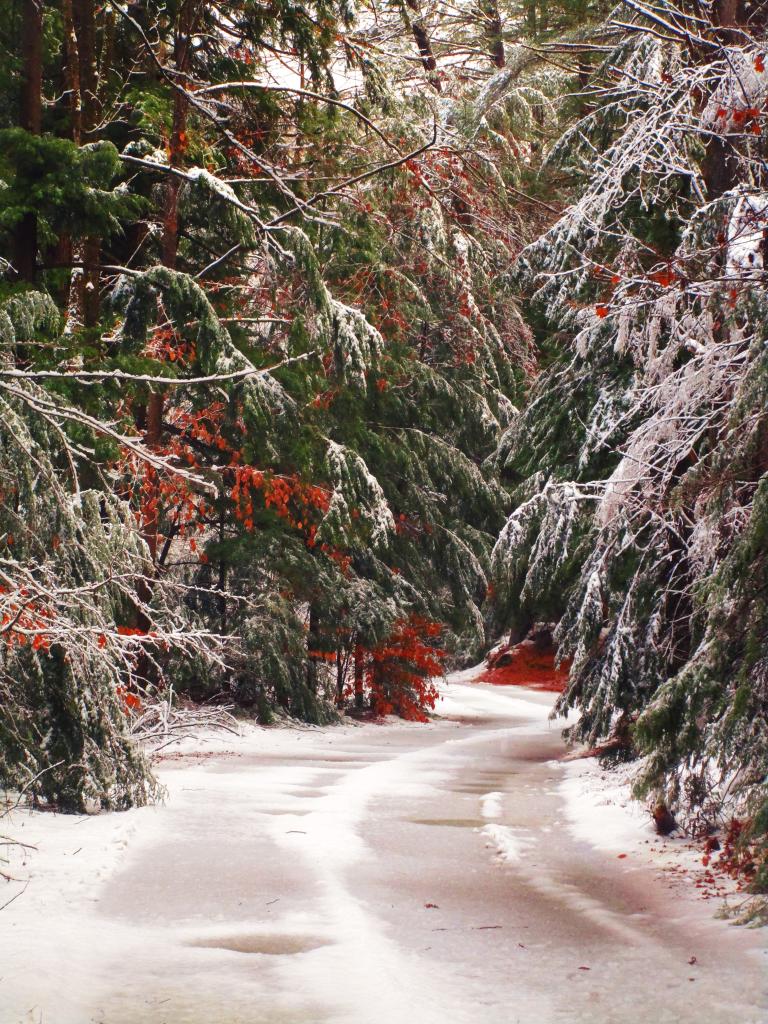 Photo: Icy River Road