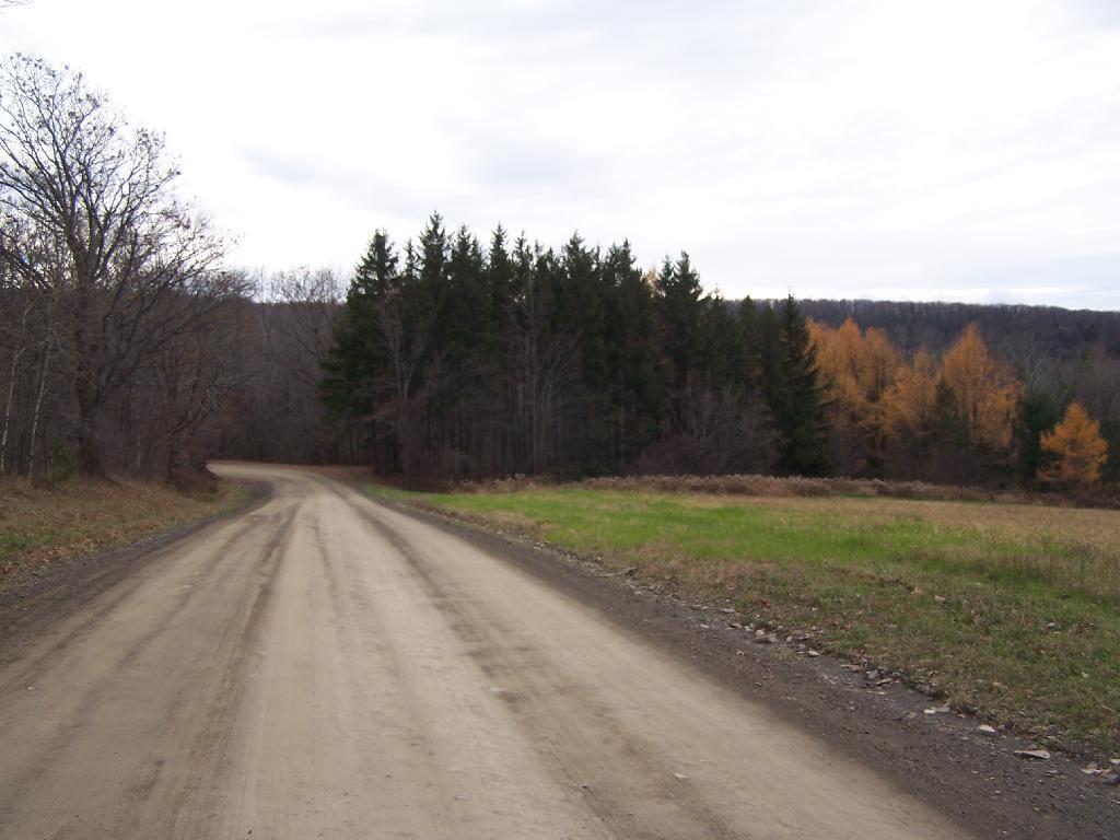 Photo: Upper Portion of Tower Road