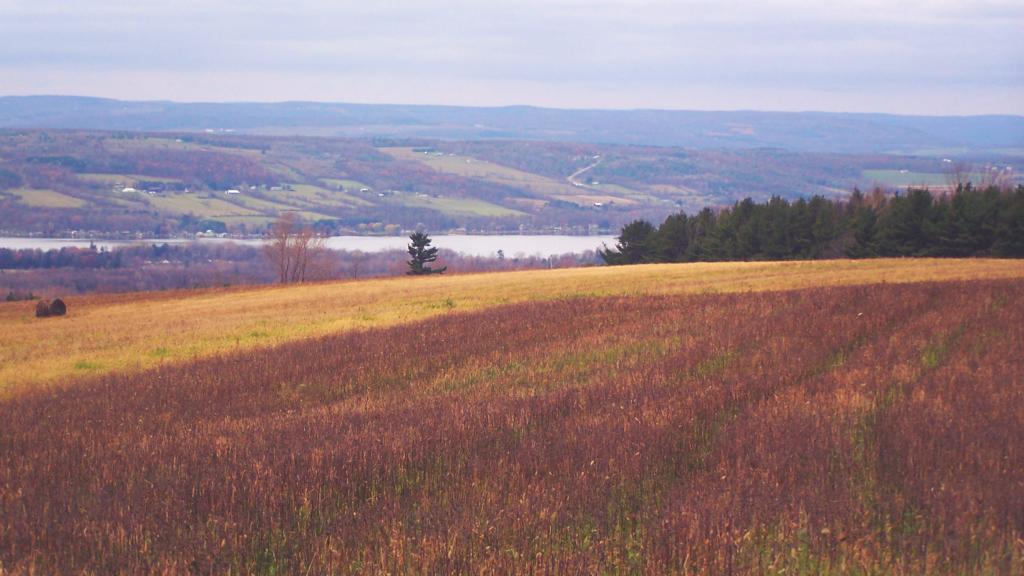 Photo: Keuka Lake