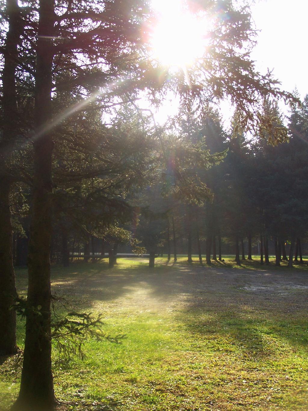 Photo: Sunrise