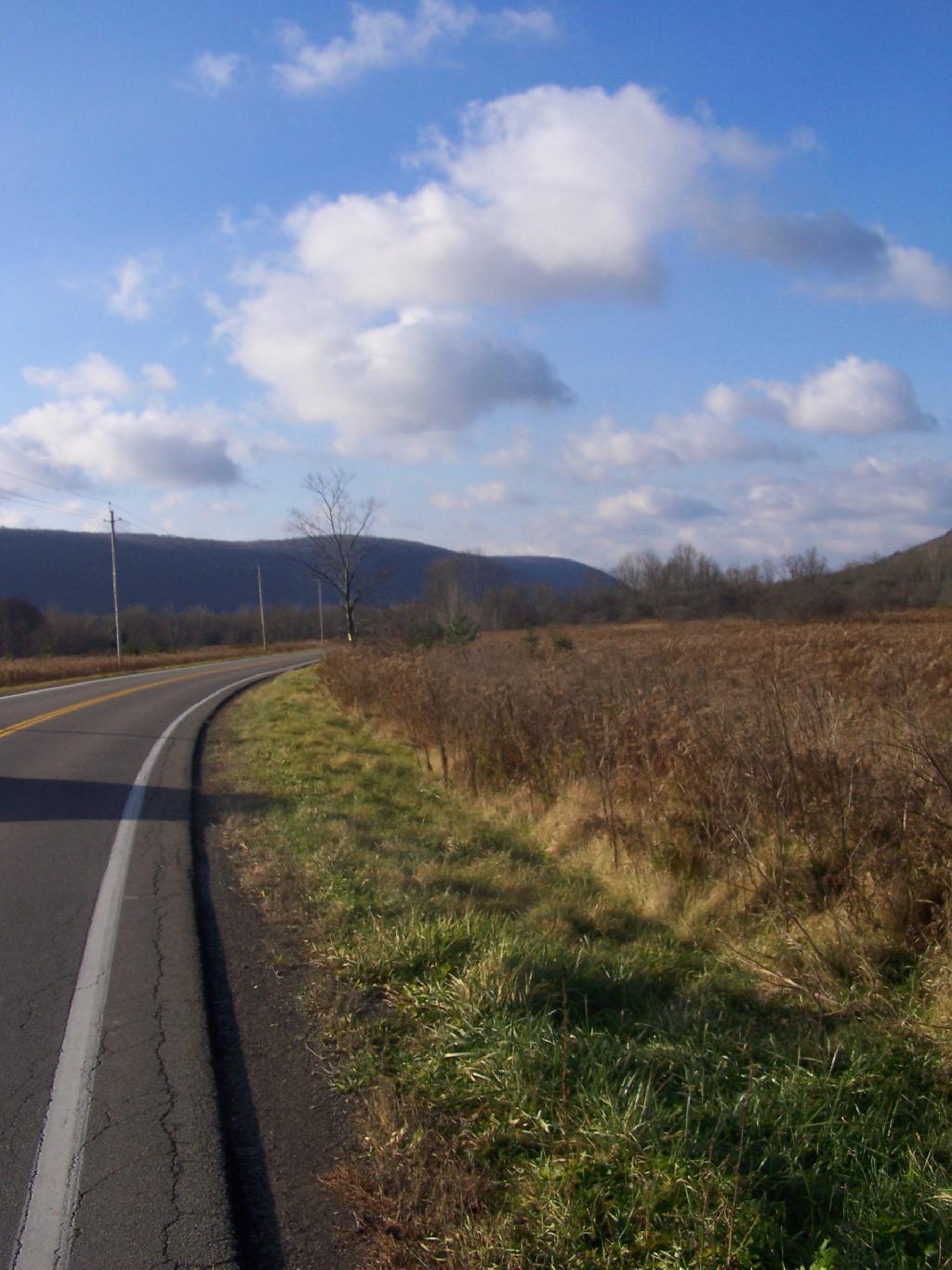 Photo: Coon Hollow Photo: Coon Hollow