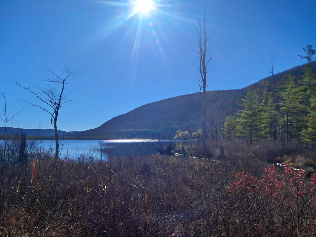 Photo: Labrador Pond