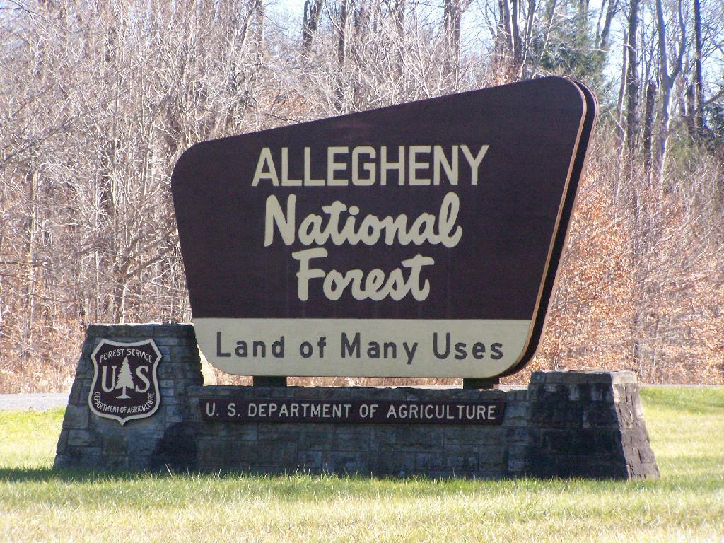 Photo: Allegany National Forest Sign Photo: Allegany National Forest Sign