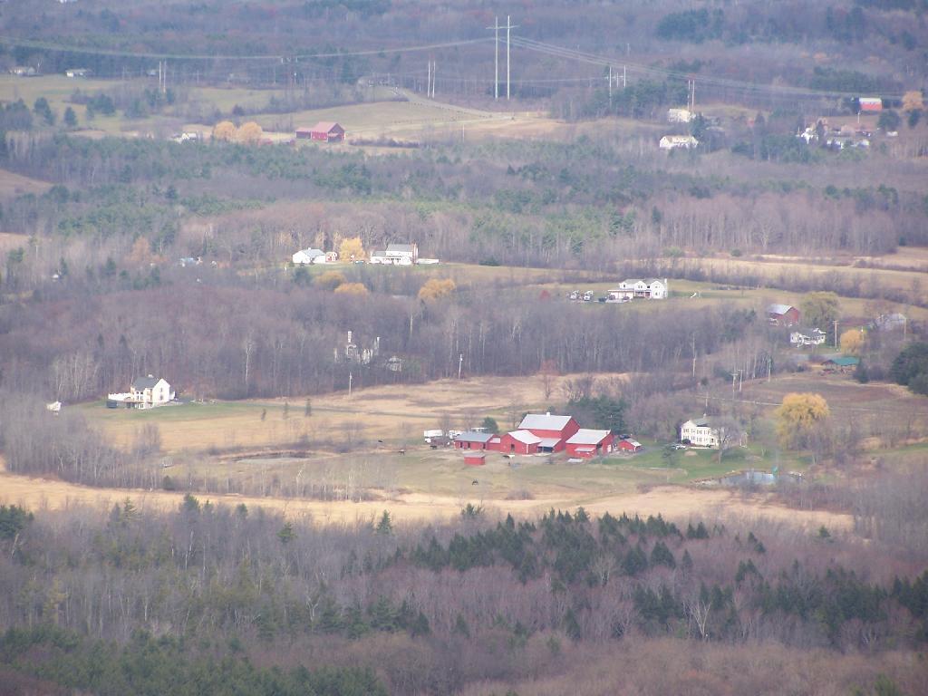 Photo: Horse Farm