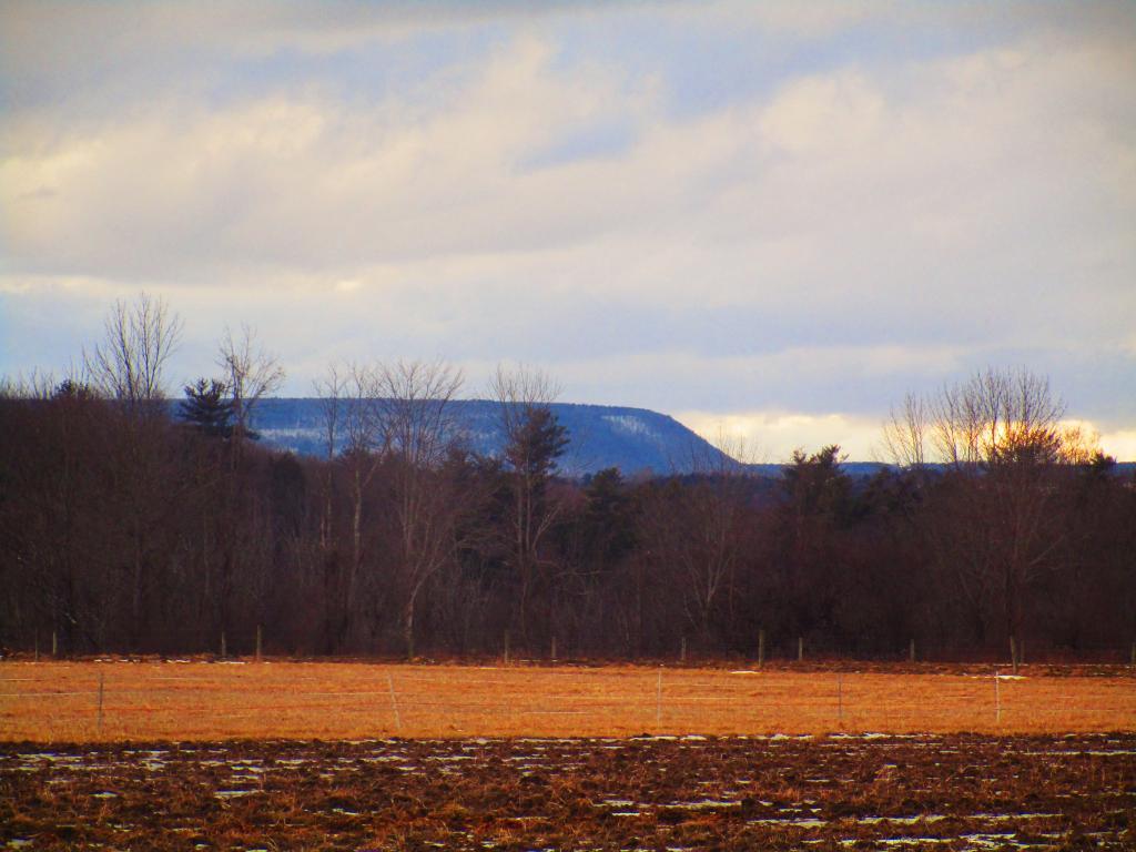 Photo: Bennett Hill