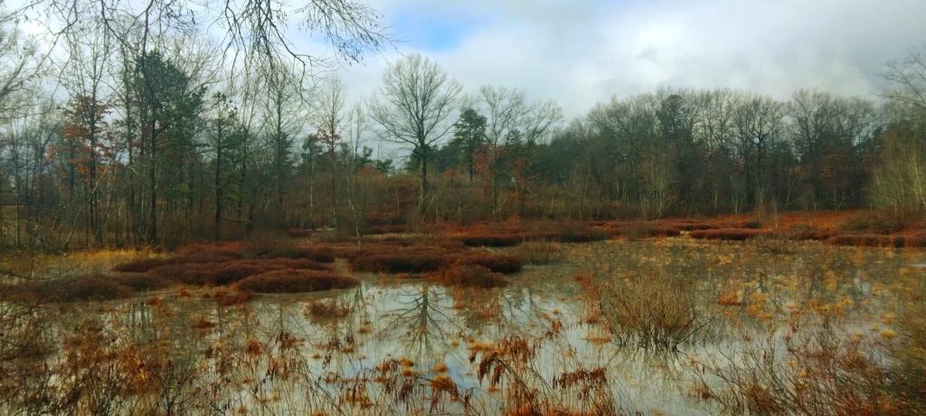 Photo: Clearing a Bit Midday