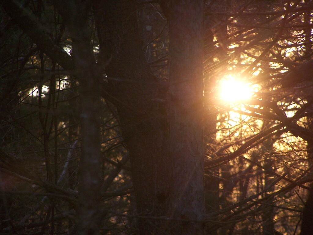 Photo: Setting Sun