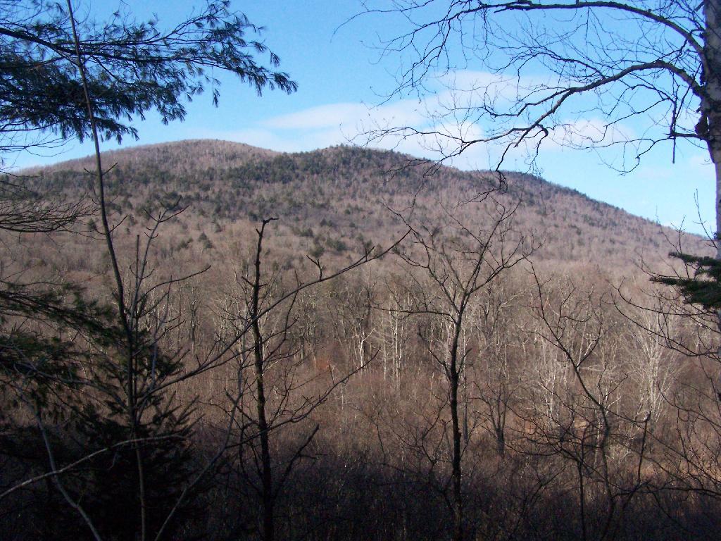 Photo: Blue Hills
