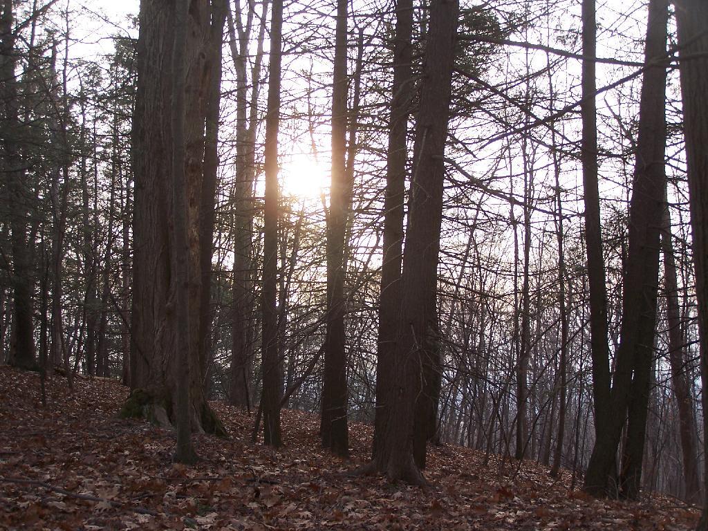 Photo: Sunset