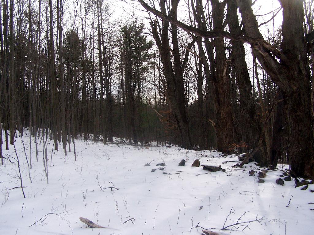Photo: Snow Covered Tent Site