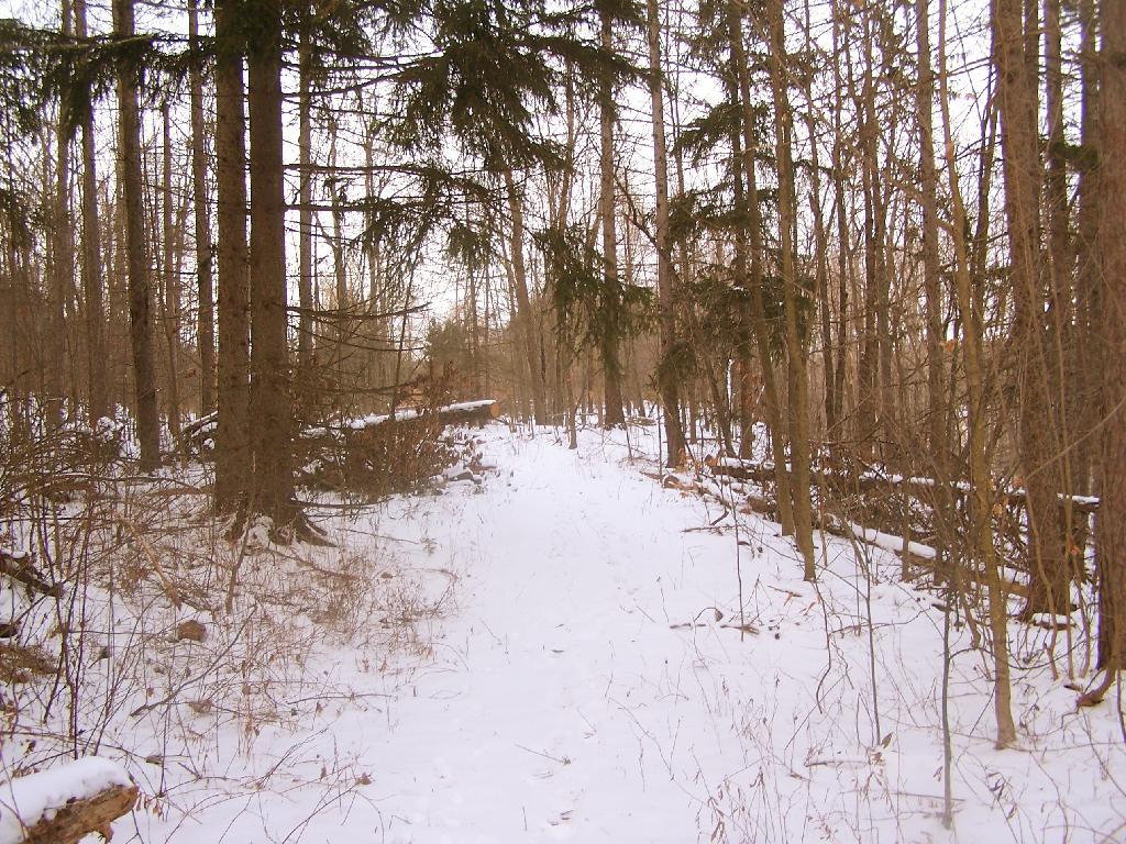 Photo: The New Red Trail