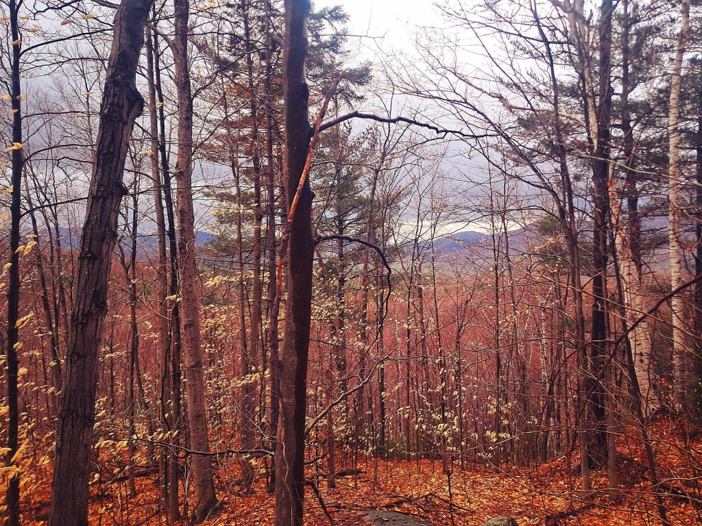 Photo: Views from Atop the Ridge