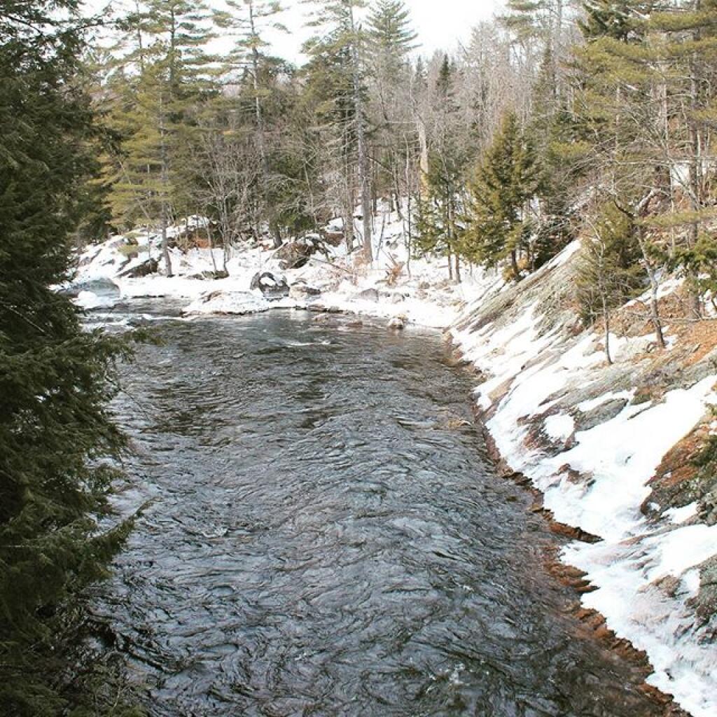 Photo: Downstream