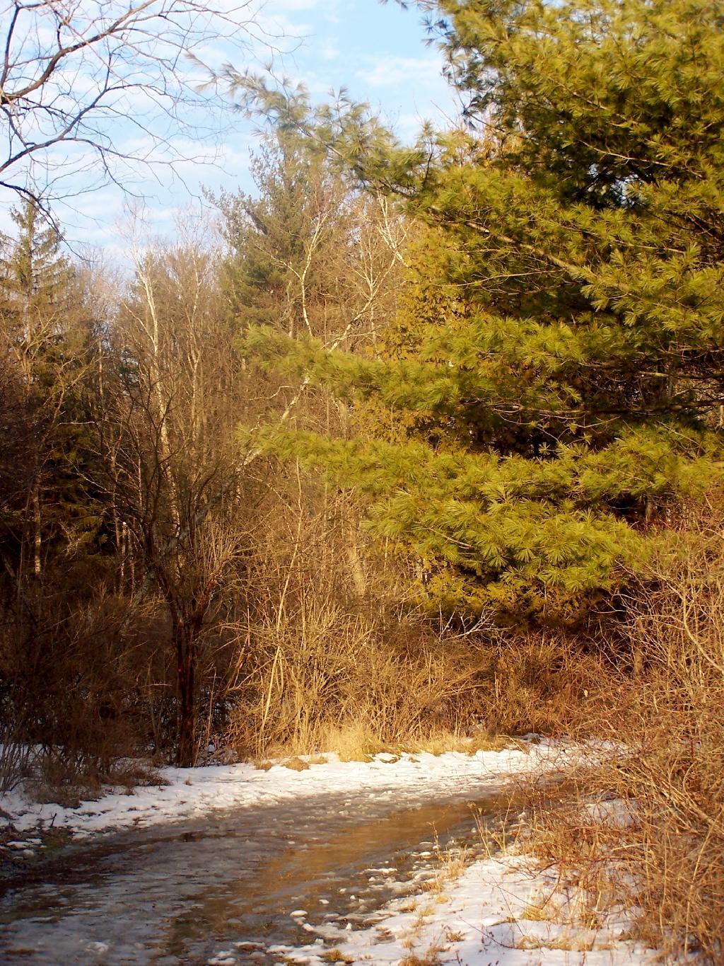 Photo: Slushy Trail