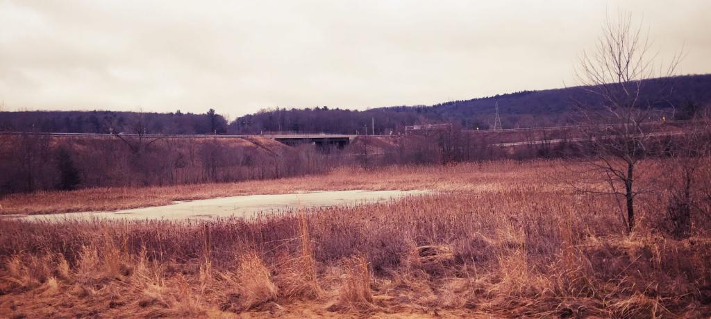 Photo: Thruway Interchange