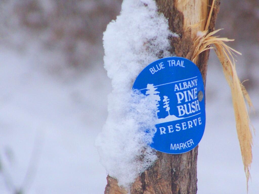 Photo: Trail Marker