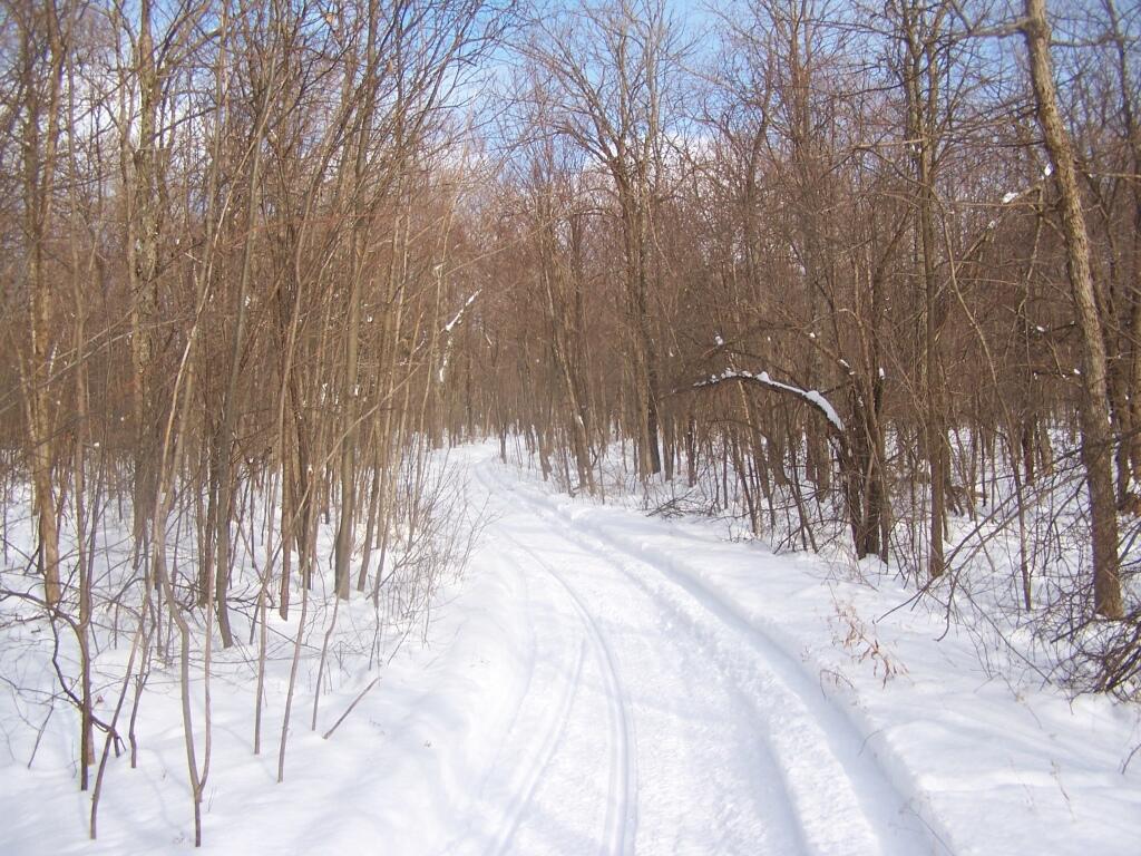 Photo: Snowmobile Trail