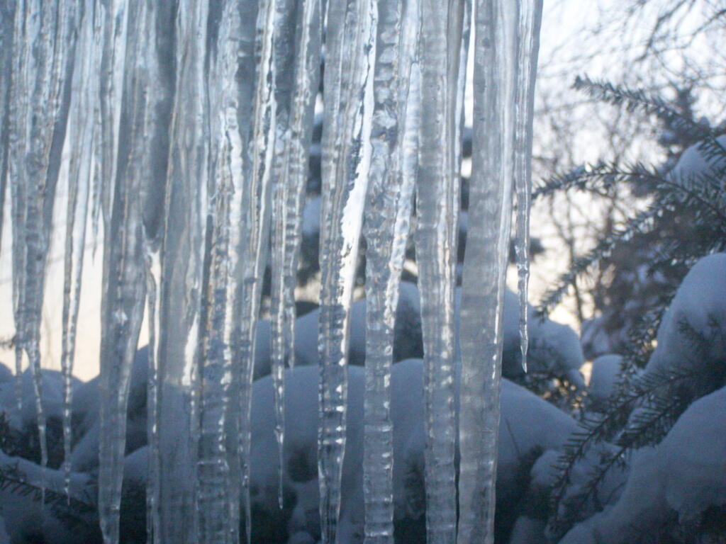 Photo: Icicles on the Window