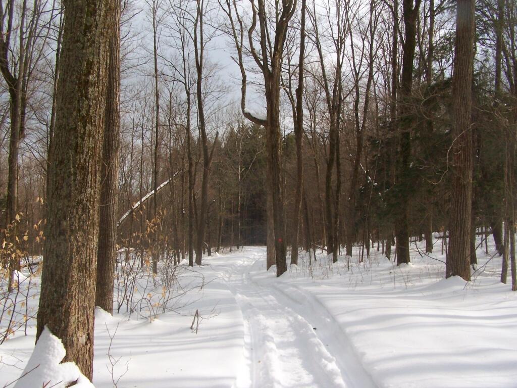 Photo: Snowshoeing Along the Redbelly Snowmobile Trail