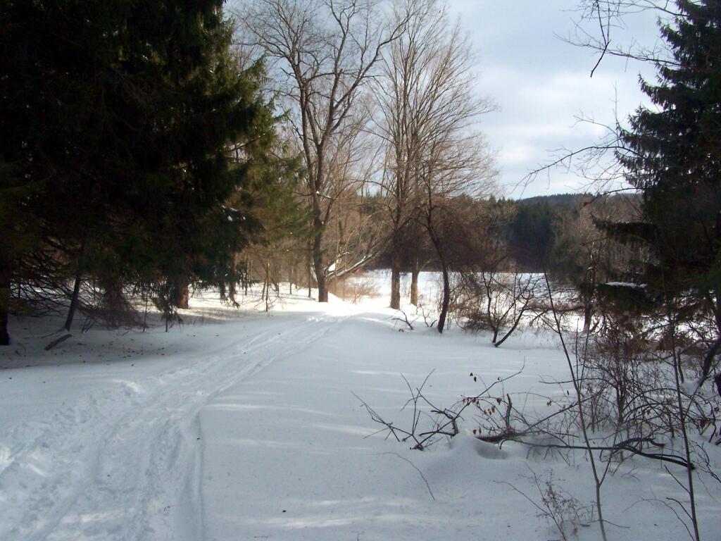 Photo: Heading Towards Frozen Ponds